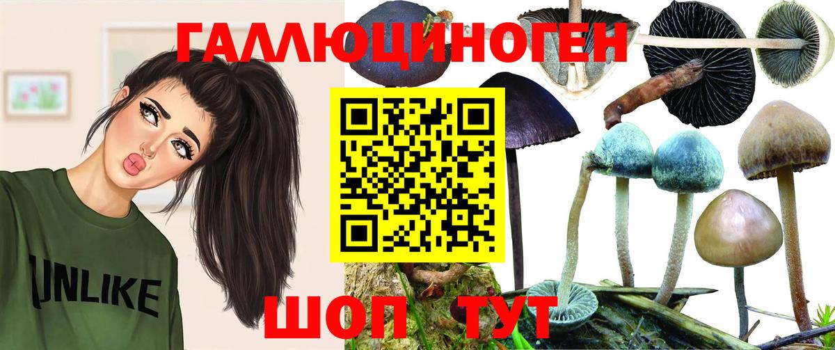 даркнет сайт  Вход с VPN  Галлюциногенные грибы Psilocybine cubensis  Осинники  Галлюциногенные грибы Psilocybe 